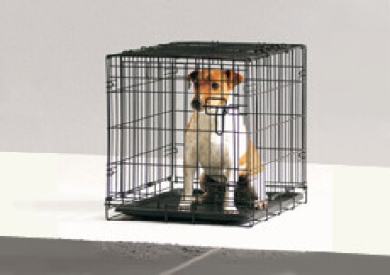 La cage peut-elle m'aider à éduquer mon chien ?