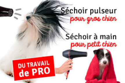 pulseur chien, sechoir pour chien