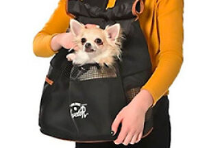 Petits chiens mini et Toy, quel sac est le plus adapté à sa taille ?