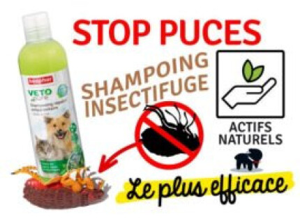 shampoing anti puce chien