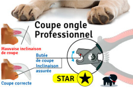coupe ongle chien