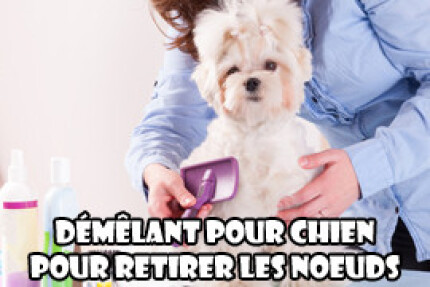 demelant chien