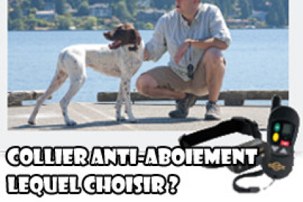 collier anti aboiement
