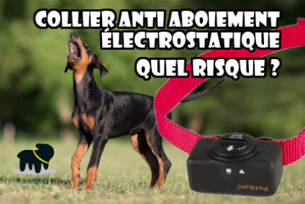 anti aboiement electrique