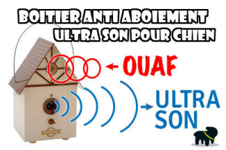 Ultrason pour chien : anti aboiement, boitier, efficacité
