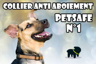 Collier anti aboiement : PetSafe, N°1 des ventes