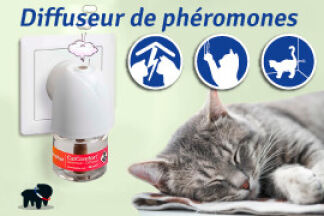 Qu'entend-t-on par phéromone chat ? comment l'utiliser ! 