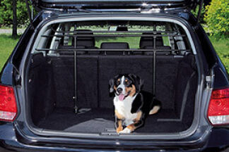 Grille chien voiture, filet : mode d’emploi