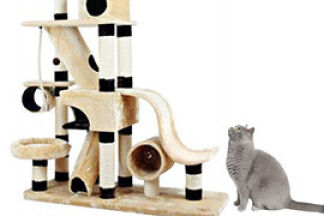 Arbre à chat géant. Plus haut, plus grand !