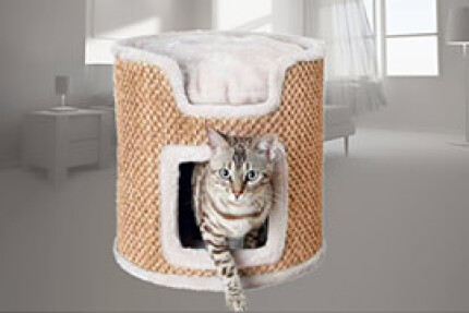 Griffoir chat design