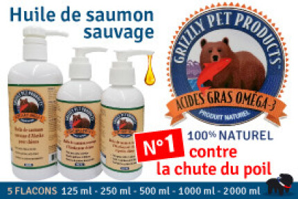 Mon chien perd ses poils, perte de poils, solution !