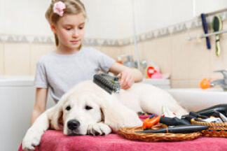 Trimmer Coat King démêle les poils de mon chien ?