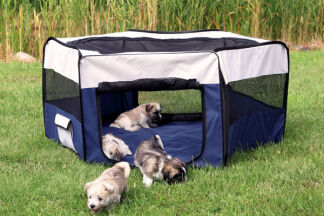 Parc à chiot : installation, utilisation, sécurité