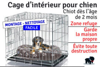 Cage chien intérieur : conseil d'utilisation !