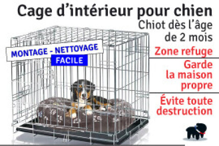 cage intérieur chien