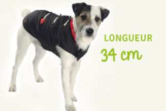 Choisir le bon manteau pour mon chien