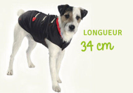 manteau pour chien
