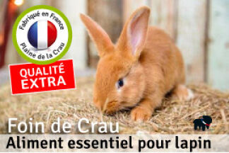 Foin de Crau pour lapin, d'ou provient-il ? comment est il récolté ? 
