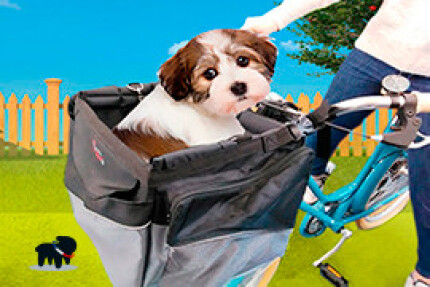 Panier vélo chien, porte chien : conseil d'achat