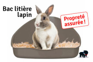 Bac litière lapin : propreté assurée !