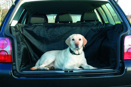 protection coffre chien