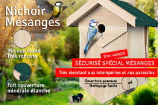 Nichoir mésange : préparation et installation du nid