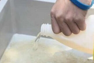 Comment nettoyer une litière chat, quand changer la litière !