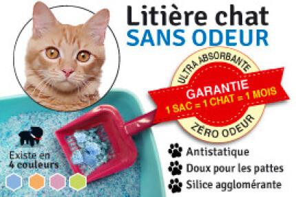 litière sans odeur chat