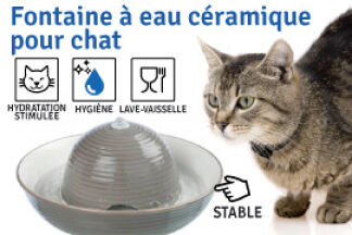 Fontaine à eau chat céramique, que des avantages !