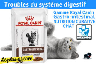 Royal canin Gastro intestinal pour chat, les croquettes spéciales !