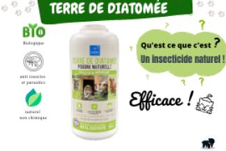 Terre de Diatomée pour chat, Conseil d'utilisation !