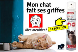 Protéger les fauteuils, canapé des griffes de mon chat.