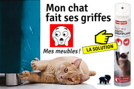 Protéger les fauteuils, canapé des griffes de mon chat.