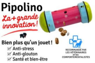 Pipolino chat : Conseil d'utilisation !