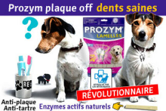 Prozym plaque off : conseil d'utilisation !