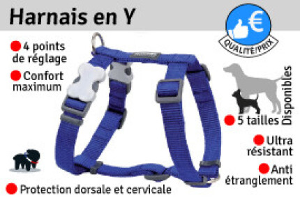 Harnais en Y pour chien, Conseil d'utilisation !
