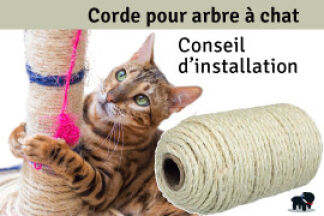 Corde pour arbre à chat, conseil d’installation !