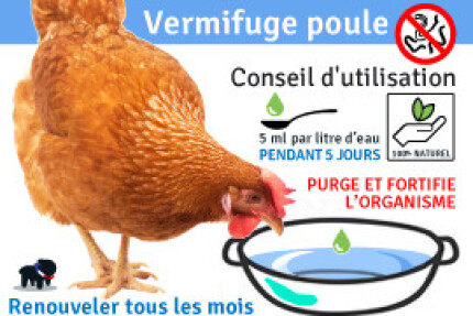Vermifuge poule : Tous nos conseils, utilisation et précaution !