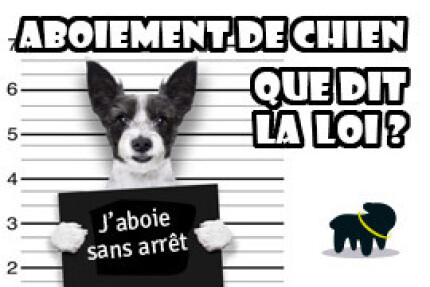 Aboiement de chien