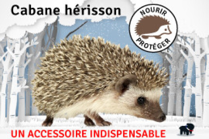 Cabane hérisson, conseil d'installation !