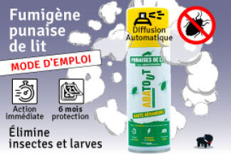 Fumigène pour punaise de lit : action radicale contre les punaises