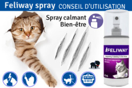 Feliway spray : conseil d'utilisation !