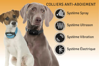 Collier anti aboiement, avis