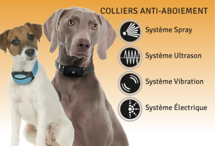 collier anti aboiement avis