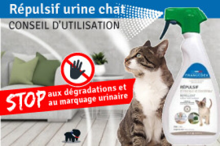 Répulsif pour urine chat : conseil d'utilisation !