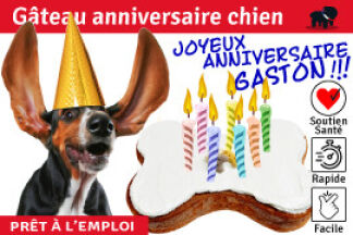 Gâteau anniversaire chien, prêt à l’emploi !