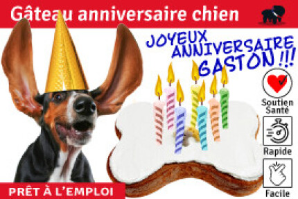 Gâteau anniversaire chien, prêt à l’emploi !