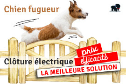 Quelle Clôture électrique pour chien choisir ? Test, efficacité !