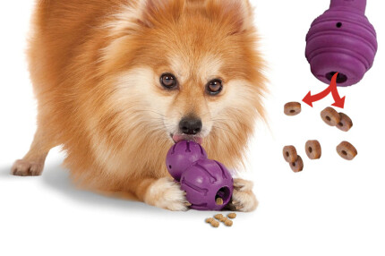 Mon chien s'ennuie, pleure, hurle, quand il est seul, comment faire ?