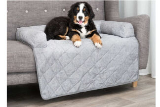 Protection canapé chien : Le protège canapé le + adapté !